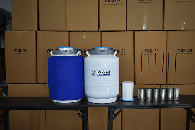 Package of theL container
